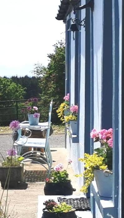 New Listing - Ladybird Cottage - Donegal - Wild Atlantic Way Донегол Экстерьер фото